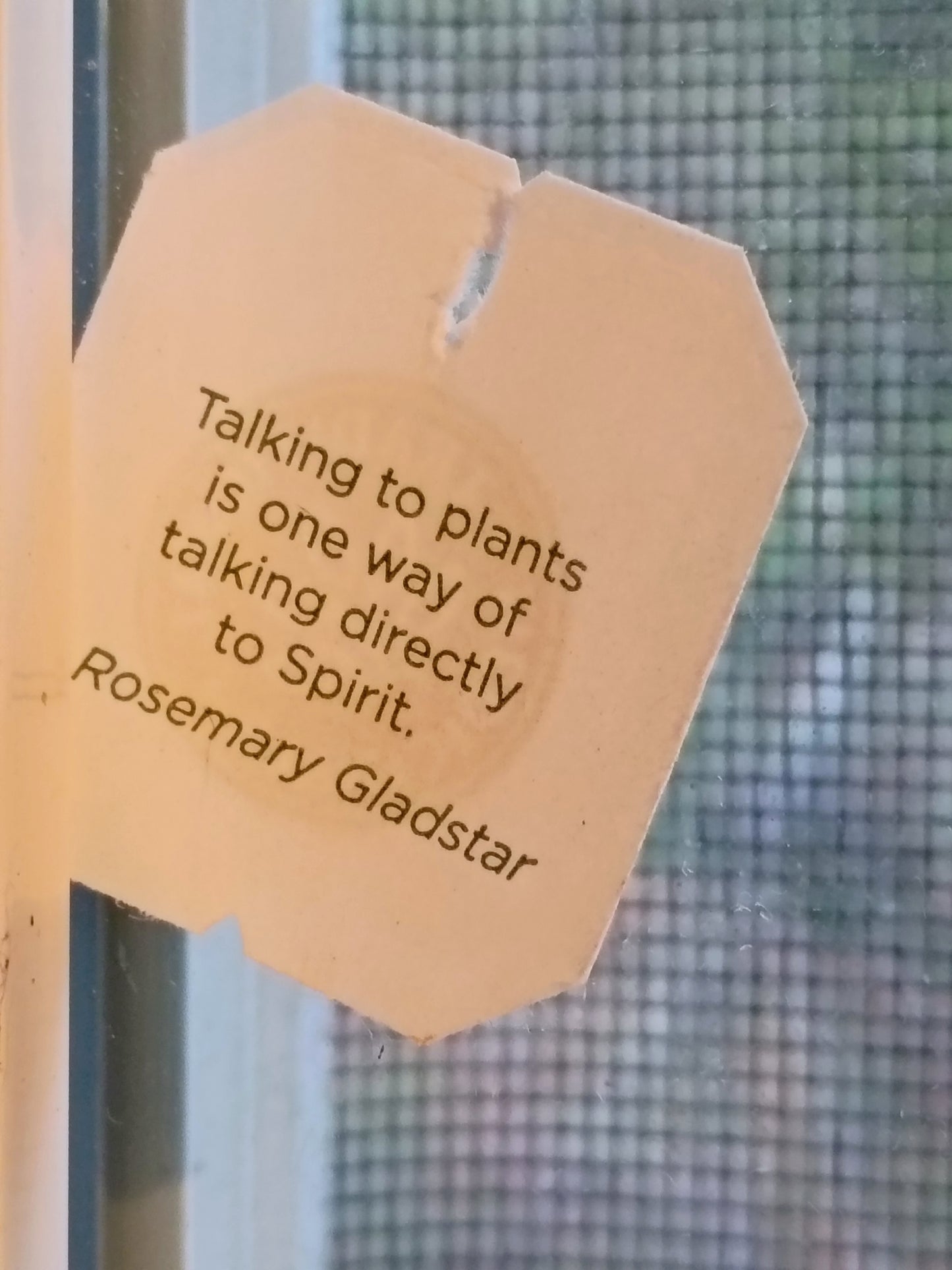 Intro to Plant Communication